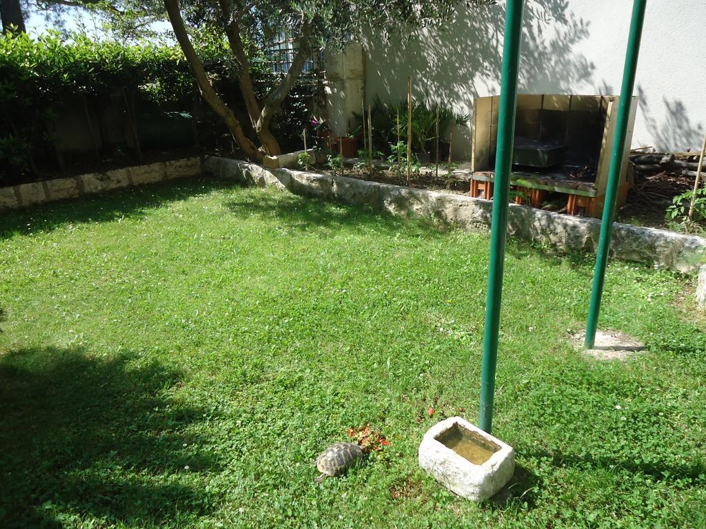 Omis Apartment On The Beach Exterior foto